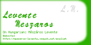 levente meszaros business card